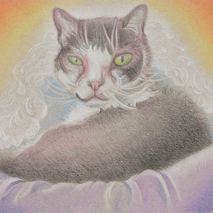 "Frisco" of the Rainbow Cat series